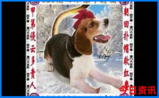 适合情侣去的旅游景点